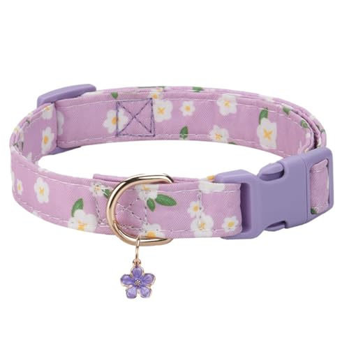FUNAT Bedrucktes Haustier Halsband, Haustier Halsband Mit Niedlichem AnhäNger für Kleine Und Mittlere Hunde, Verstellbares Hundehalsband und Nackenbezug FUNAT Bedrucktes Haustier Halsband, Haustier Halsband Mit Niedlichem AnhäNger für Kleine Und Mittlere Hunde, Verstellbares Hundehalsband und Nackenbezug von FUNAT