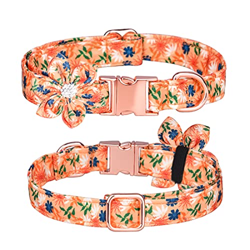 FUNAT Blumenhalsband für Haustiere, Abnehmbares Solar Flower Hundehalsband, Halsband für Hunde und Katzen zum Gravieren, Verstellbares Halsband für Katzen von FUNAT