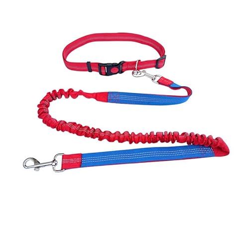 FUNAT Haustier Laufende Leine, Hund Sport Schleppseil Multi Functional Schleppband, Hundeleine Schlupf Hundeleine FUNAT Haustier Laufende Leine, Hund Sport Schleppseil Multi Functional Schleppband, Hundeleine Schlupf Hundeleine von FUNAT