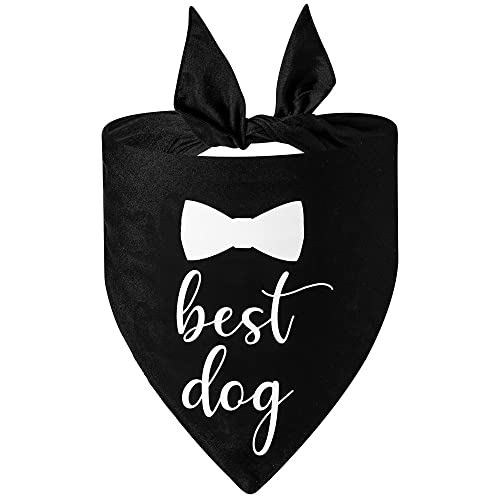 FUNAT Hund Bandana Schal verheiratet, Halstuch Hochzeitshalsband mit Fliege und Krawatte für Hunde und Katzen, Hochzeit Haustier Dreieck Schal von FUNAT