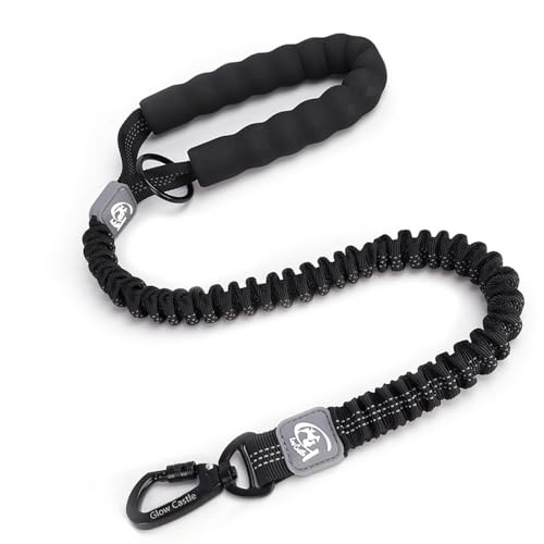 FUNAT Hund elastisches Traktionsseil, Hoch reflektierender Heavy Duty Elastischer Bungee Mittel- und Großhund, Leine Stoßdämpfungsgriff für Training FUNAT Hund elastisches Traktionsseil, Hoch reflektierender Heavy Duty Elastischer Bungee Mittel- und Großhund, Leine Stoßdämpfungsgriff für Training von FUNAT