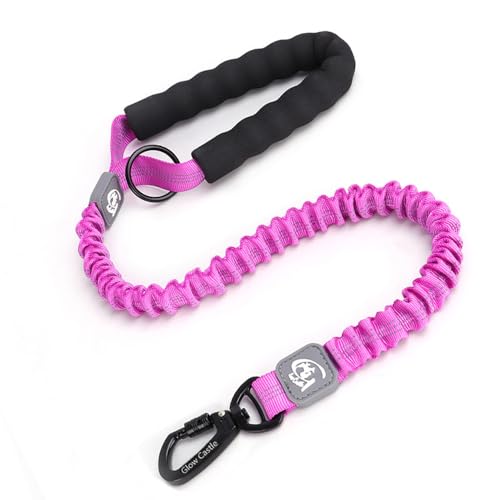 FUNAT Hund elastisches Traktionsseil, Hoch reflektierender Heavy Duty Elastischer Bungee Mittel- und Großhund, Leine Stoßdämpfungsgriff für Training FUNAT Hund elastisches Traktionsseil, Hoch reflektierender Heavy Duty Elastischer Bungee Mittel- und Großhund, Leine Stoßdämpfungsgriff für Training von FUNAT