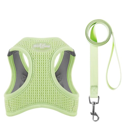 FUNAT Hundegeschirr und Leine Set, Einfacher Spaziergang Schritt in Weste Harness Outdoor Wandern Training für extra kleine Hunde, Welpen, Katzen FUNAT Hundegeschirr und Leine Set, Einfacher Spaziergang Schritt in Weste Harness Outdoor Wandern Training für extra kleine Hunde, Welpen, Katzen von FUNAT