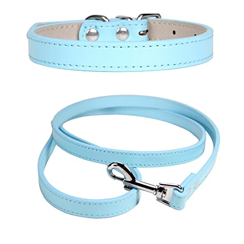 FUNAT Hundehalsband + Zugseil-Set aus Leder, Costume à Cordon de Serrage à col Simple adapté aux Chats et aux Petits Chiens von FUNAT