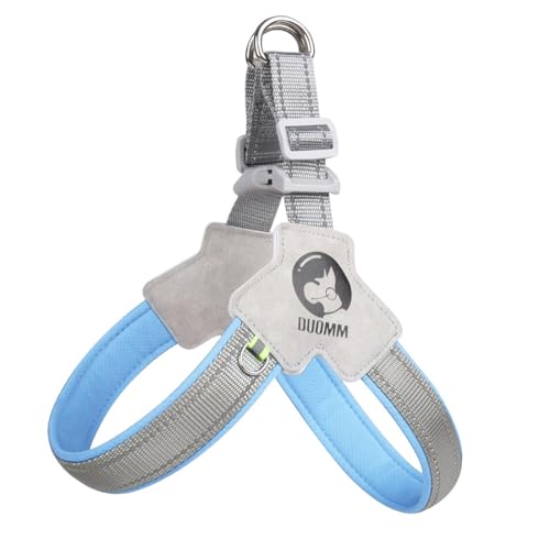 FUNAT Kein Hundegeschirr Ziehen, Einfacher Spaziergang Hundegeschirr, Hund Brustgurt Leichtes Traktionsseil Kampf Haustier Kleines mittleres Hundesattel Outdoor Walking Seil von FUNAT