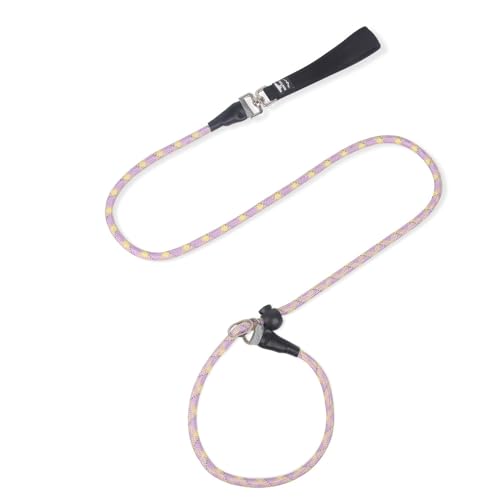 FUNAT Nylon Hundeleide, Reflektierende mittlere Hundeleide Stoßdämpfend geeignet für Training, Heavy Duty Schließe Seil Leine für kleine mittlere große Hunde FUNAT Nylon Hundeleide, Reflektierende mittlere Hundeleide Stoßdämpfend geeignet für Training, Heavy Duty Schließe Seil Leine für kleine mittlere große Hunde von FUNAT