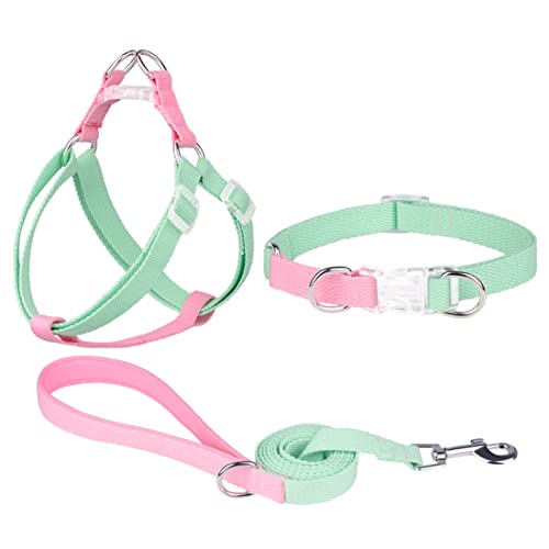 FUNAT Polyester Gurtband Hundehalsband, Kontrasttierhalsband Zugseil-Set für Harness, Einfache und stilvolle Macaron Halsband Geeignet für Katzen Hunde von FUNAT