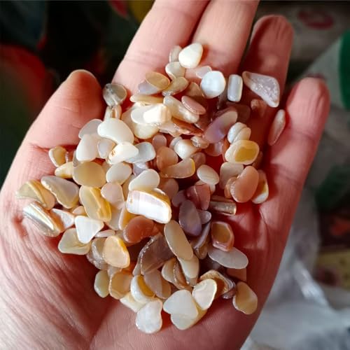 FUNAT Schotter Gefärbt, Farbige Shell Stücke für Telefon Fall Dekoration, Dekorativer künstlicher Stein für Schmuck Trommelkristalle Polierte Felsen Steine Steine FUNAT Schotter Gefärbt, Farbige Shell Stücke für Telefon Fall Dekoration, Dekorativer künstlicher Stein für Schmuck Trommelkristalle Polierte Felsen Steine Steine von FUNAT