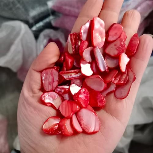 FUNAT Schotter Gefärbt, Farbige Shell Stücke für Telefon Fall Dekoration, Dekorativer künstlicher Stein für Schmuck Trommelkristalle Polierte Felsen Steine Steine FUNAT Schotter Gefärbt, Farbige Shell Stücke für Telefon Fall Dekoration, Dekorativer künstlicher Stein für Schmuck Trommelkristalle Polierte Felsen Steine Steine von FUNAT