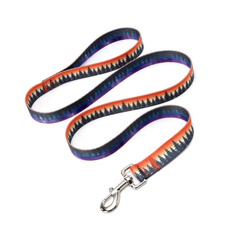 FUNAT Seil Haustierleine für Hundetraining, Sternenhimmel ethnischer Stil Haustier Traktion Seil, Starke und robuste Polyester Hundeleide für kleine, mittlere und große Rasse Hunde von FUNAT