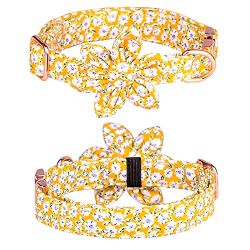 FUNAT Sonnenblumen Halsband für Hunde und Katzen, Katzenhalsband, Hundehalsband mit Roségoldener Schnalle, Verstellbares Haustier Halsband von FUNAT