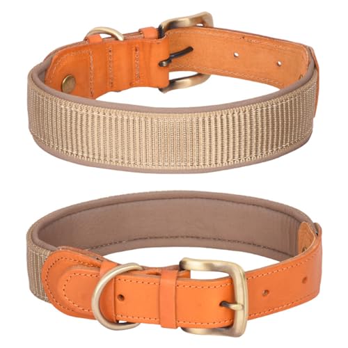 FUNAT Space Baumwolle Hundehalsband, Mittlere bis Große Halsbänder aus Echtem Leder, Farbblocking Outdoor taktisches Hundehalsband FUNAT Space Baumwolle Hundehalsband, Mittlere bis Große Halsbänder aus Echtem Leder, Farbblocking Outdoor taktisches Hundehalsband von FUNAT
