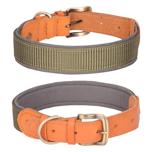 FUNAT Space Baumwolle Hundehalsband, Mittlere bis Große Halsbänder aus Echtem Leder, Farbblocking Outdoor taktisches Hundehalsband FUNAT Space Baumwolle Hundehalsband, Mittlere bis Große Halsbänder aus Echtem Leder, Farbblocking Outdoor taktisches Hundehalsband von FUNAT