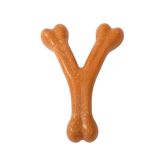 FUNFY Dog Chewing Y-Shape Bone Toy - Durable Flavored Nylon Kauspielzeug für Aggressive Kauer, Safe & Non-Toxic, Zahnpflege für kleine und mittlere Hunde FUNFY Dog Chewing Y-Shape Bone Toy - Durable Flavored Nylon Kauspielzeug für Aggressive Kauer, Safe & Non-Toxic, Zahnpflege für kleine und mittlere Hunde von FUNFY