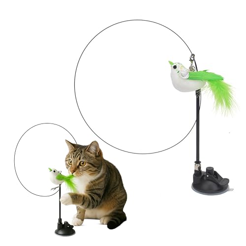 Funfy Cat Wand Toy, Interaktive Katze Feder Spielzeug mit Vogel für Indoor-Selbst-Spiel & Übung | 2 Spielmodi Kätzchen Teaser Wand mit grüner Farbe Vogel, wiederverwendbare Saugnapf Kätzchen Spielzeug Funfy Cat Wand Toy, Interaktive Katze Feder Spielzeug mit Vogel für Indoor-Selbst-Spiel & Übung | 2 Spielmodi Kätzchen Teaser Wand mit grüner Farbe Vogel, wiederverwendbare Saugnapf Kätzchen Spielzeug von FUNFY