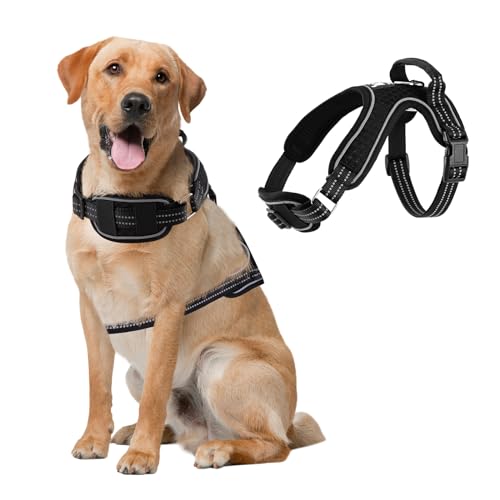 FUNKEEN Hundegeschirr, kein Ziehen, Hundegeschirr, Breeze verstellbares Haustiergeschirr, Hundeweste mit Sicherheitsschnalle, reflektierend, Netzgewebe, atmungsaktiv für kleine, mittelgroße und große FUNKEEN Hundegeschirr, kein Ziehen, Hundegeschirr, Breeze verstellbares Haustiergeschirr, Hundeweste mit Sicherheitsschnalle, reflektierend, Netzgewebe, atmungsaktiv für kleine, mittelgroße und große von FUNKEEN PET HOUSE