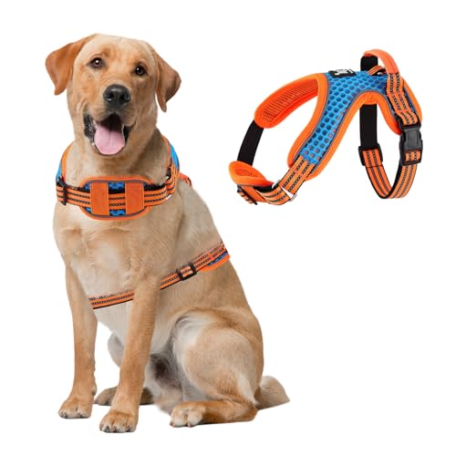 FUNKEEN Hundegeschirr, kein Ziehen, verstellbar, atmungsaktiv, bequem, Haustierweste, reflektierendes Oxford-Hundegeschirr mit Sicherheitsschnalle für kleine, mittelgroße und große Hunde - L, FUNKEEN Hundegeschirr, kein Ziehen, verstellbar, atmungsaktiv, bequem, Haustierweste, reflektierendes Oxford-Hundegeschirr mit Sicherheitsschnalle für kleine, mittelgroße und große Hunde - L, von FUNKEEN PET HOUSE