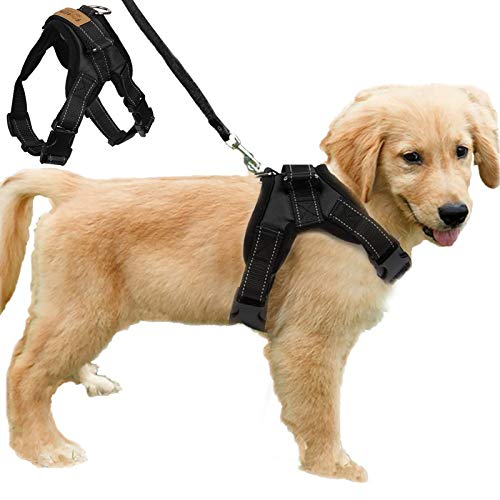 FUNKEEN PET HOUSE Verstellbares weich gepolstertes Hundegeschirr No Pull Dog Power Harness Weste für Hundetraining oder Walking (L, Schwarz) von FUNKEEN PET HOUSE