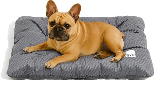 FUNNY FUZZY Hundebett, waschbar, 2-in-1-Haustierkissen, Schlafbett, flauschige Deluxe-Hundehüttenmatratze für mittelgroße Hunde und Katzen, Anthrazit, Größe M FUNNY FUZZY Hundebett, waschbar, 2-in-1-Haustierkissen, Schlafbett, flauschige Deluxe-Hundehüttenmatratze für mittelgroße Hunde und Katzen, Anthrazit, Größe M von FUNNY FUZZY