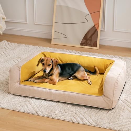 FUNNY FUZZY Hundebett für kleine und mittelgroße Hunde: Orthopädische Hundebetten, bequemes, atmungsaktives Haustierbett, Couch-Sofa mit 3D-Eierschaum, abnehmbarer, maschinenwaschbarer Bezug, von FUNNY FUZZY