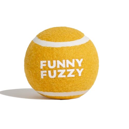FUNNY FUZZY Quietschende Tennisbälle für Hunde, hochsichtbare Hundebälle, interaktives Hundespielzeug für kleine Hunde, ideal zum Spielen und Training im Freien – 1 Packung 4,7 cm von FUNNY FUZZY