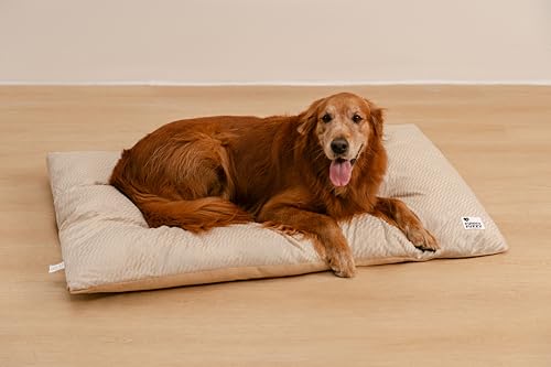 FUNNY FUZZY Waschbares Hundebett, wendbar, Plüsch-Hundekäfig-Matte, weiche, flauschige Hundehüttenunterlage, Haustier-Schlafmatratze für Jumbo, Größe XL, Größe XXL, 121,9 x 78,7 cm, Beige von FUNNY FUZZY