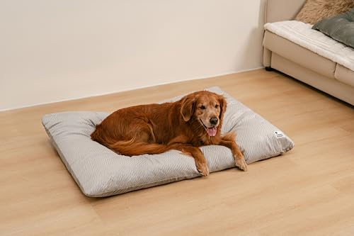 FUNNY FUZZY Waschbares Hundebett, wendbar, Plüsch-Hundekäfig-Matte, weiche, flauschige Hundehüttenunterlage, Haustier-Schlafmatratze für Jumbo-Hunde, Größe XL, Größe XXL, 121,9 x 78,7 cm, Hellgrau FUNNY FUZZY Waschbares Hundebett, wendbar, Plüsch-Hundekäfig-Matte, weiche, flauschige Hundehüttenunterlage, Haustier-Schlafmatratze für Jumbo-Hunde, Größe XL, Größe XXL, 121,9 x 78,7 cm, Hellgrau von FUNNY FUZZY