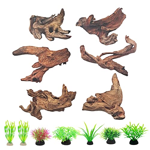 FUNOJOY Natürliches Treibholz-Dekor für Aquarium-Dekorationen, Reptilientank-Zubehör, verschiedene Holzzweige, 5.1–25.4 cm, 2 Stück/4 Stück/5 Stück/6 Stück (6 Stück (2 bis 10 cm)) von FUNOJOY