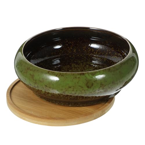 FUNOMOCYA 1 Set Bonsai Pflanzer Blumen Pflanzer Keramik Blumenpot Gartenbonsai Blumenpot Und Tablett von FUNOMOCYA