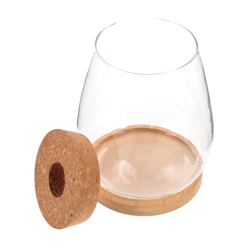 FUNOMOCYA 1 Set Hydrokulturpflanze Ökologische Flasche Blumentopf Töpfe Für Pflanzen Pflanzenterrarium Glasgefäß Glas Leere Flasche Mikrolandschaft Terrarium Mikrolandschaft DIY Flasche von FUNOMOCYA