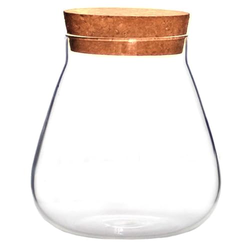 FUNOMOCYA 1 Stück Korkglas Pflanzgefäß Transparentes Glasgefäß für Ökosysteme für Kleine Pflanzen Dekoration und Kreative Tischgestaltung FUNOMOCYA 1 Stück Korkglas Pflanzgefäß Transparentes Glasgefäß für Ökosysteme für Kleine Pflanzen Dekoration und Kreative Tischgestaltung von FUNOMOCYA