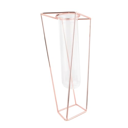 FUNOMOCYA Blumenröhrenvase Eisenständer Geometrisches Design Metallrahmen Pflanzgefäß Heimdekoration 1 Stück Roségold Blumenpflanzer FUNOMOCYA Blumenröhrenvase Eisenständer Geometrisches Design Metallrahmen Pflanzgefäß Heimdekoration 1 Stück Roségold Blumenpflanzer von FUNOMOCYA