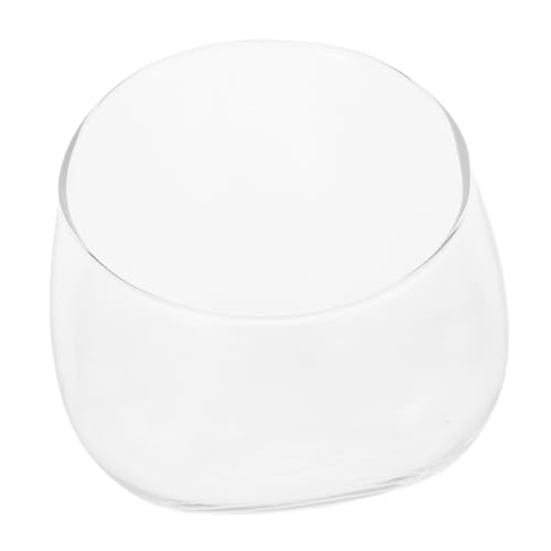 FUNOMOCYA Elegante 1pc Glas Landschaft Flasche Wohnkultur Sukkulenten Pflanzen Terrarien Leere von FUNOMOCYA