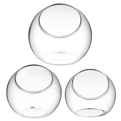 FUNOMOCYA 3Stücke Terrarium für Landschaft Hydrokultur Pflanzenbehälter Dekorative Glasflasche für Sukkulenten für FUNOMOCYA 3Stücke Terrarium für Landschaft Hydrokultur Pflanzenbehälter Dekorative Glasflasche für Sukkulenten für von FUNOMOCYA