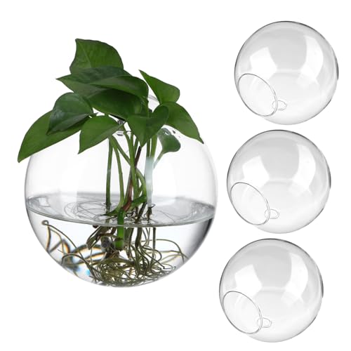 FUNOMOCYA 4Stücke Wand Pflanzgefäße Glasvasen Für Hydrokultur Pflanzen Dekorative Wandvase Für Wohnzimmer Restaurant von FUNOMOCYA