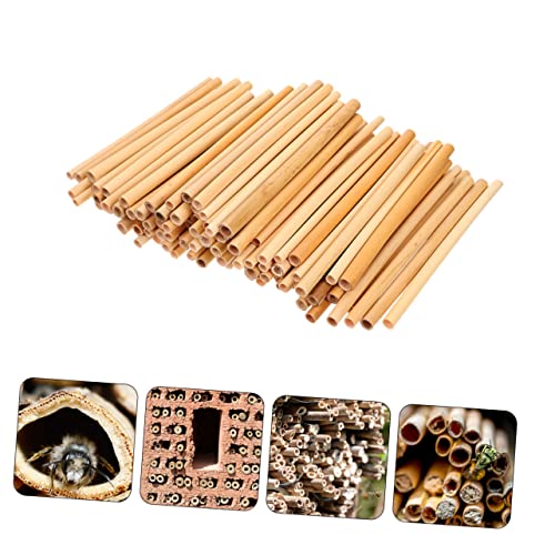 FUNOMOCYA 50 Stück Natürliche Schilfrohr bienenröhren Langlebige Wiederverwendbare Nisthilfen für Wildbienen Installieren für Garten und DIY Bienenstöcke von FUNOMOCYA