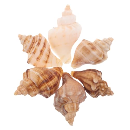 FUNOMOCYA 6 Stück Teiliges Natürliche Kleine Meeresschnecken-Muscheln Ersatzschalen für Einsiedlerkrebs-aquarien Dekorative Strand-deko Tropisch Inspiriert für Heim Aquariumdekoration FUNOMOCYA 6 Stück Teiliges Natürliche Kleine Meeresschnecken-Muscheln Ersatzschalen für Einsiedlerkrebs-aquarien Dekorative Strand-deko Tropisch Inspiriert für Heim Aquariumdekoration von FUNOMOCYA