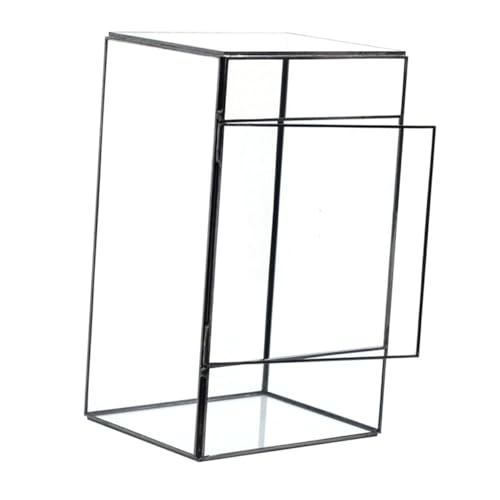 FUNOMOCYA Desktop -Landschaftstank Pflanzen groß drinnen saftig bürodeko wohnzimmerdeko Wohnkultur terraristik Terrarium nebler DIY-Terrarium Ökosystem Terrarium leeres Terrarium Glas von FUNOMOCYA