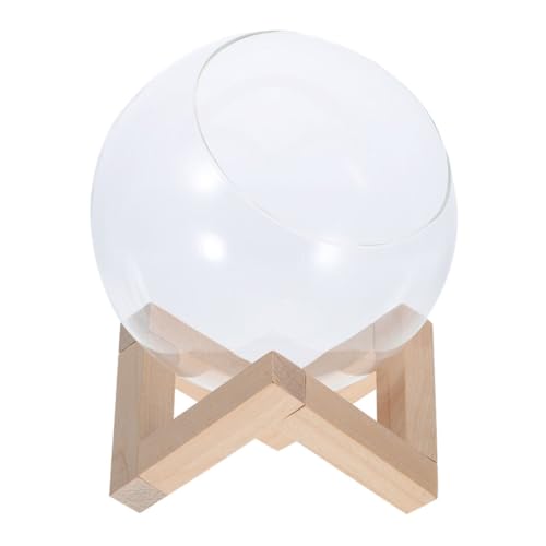 FUNOMOCYA Glas Terrarium mit Holzständer Hydroponischer Pflanzbehälter Kompakte Glasvase für Pflanzenvermehrung Kleine Tischdeko Vielseitiger Pflanzenpropagator für Zuhause und Büro FUNOMOCYA Glas Terrarium mit Holzständer Hydroponischer Pflanzbehälter Kompakte Glasvase für Pflanzenvermehrung Kleine Tischdeko Vielseitiger Pflanzenpropagator für Zuhause und Büro von FUNOMOCYA