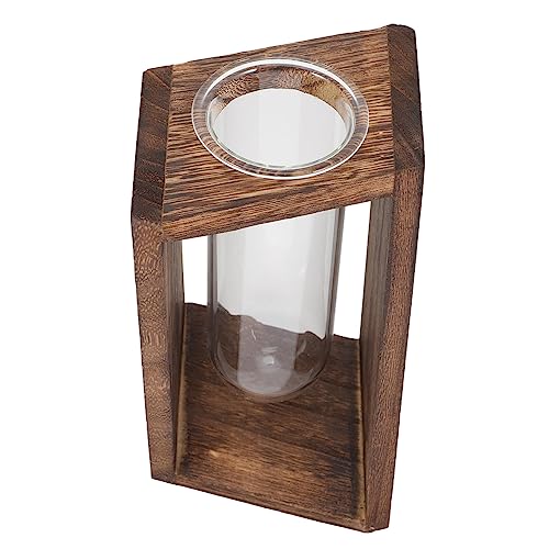 FUNOMOCYA Blumenvase Dekovase Mit Gestell Reagenzglas Pflanzenterrarium von FUNOMOCYA