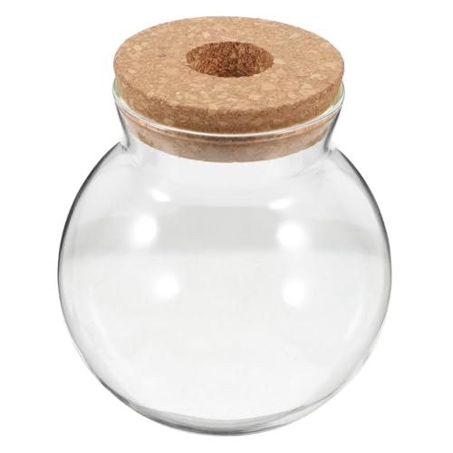 FUNOMOCYA Hydroponische Glasflasche mit Korkdeckel Rund Transparent Terrarium für Luftpflanzen Sukkulenten und Moos DIY Pflanzenlandschaft Dekorative Glasvase FUNOMOCYA Hydroponische Glasflasche mit Korkdeckel Rund Transparent Terrarium für Luftpflanzen Sukkulenten und Moos DIY Pflanzenlandschaft Dekorative Glasvase von FUNOMOCYA
