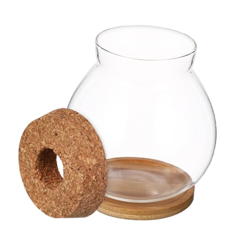 FUNOMOCYA Hydroponischer Glasblumen-vase Mit Holzunterlage Transparente Deko Für Pflanzen Für Schreibtisch Und Zeigt Wurzelwachstum Für Pflanzenarrangement FUNOMOCYA Hydroponischer Glasblumen-vase Mit Holzunterlage Transparente Deko Für Pflanzen Für Schreibtisch Und Zeigt Wurzelwachstum Für Pflanzenarrangement von FUNOMOCYA