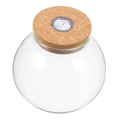 FUNOMOCYA Hydroponisches Glas-Terrarium mit Korkdeckel Runde Klare Pflanzenvase mit Led-licht Desktop-Station für Pflanzenvermehrung und Kreative Mini-landschaften FUNOMOCYA Hydroponisches Glas-Terrarium mit Korkdeckel Runde Klare Pflanzenvase mit Led-licht Desktop-Station für Pflanzenvermehrung und Kreative Mini-landschaften von FUNOMOCYA