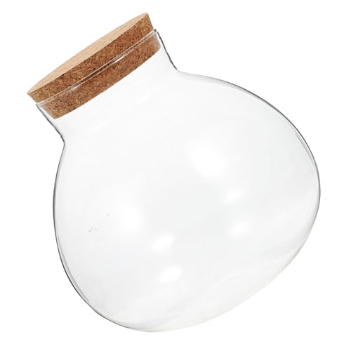 FUNOMOCYA Mikrolandschaft Ökologische Flasche Knospenglas Klares Kugel Terrarium Kleines Glasgefäß Luftpflanzen Terrarium Tischvase Kugelglas FUNOMOCYA Mikrolandschaft Ökologische Flasche Knospenglas Klares Kugel Terrarium Kleines Glasgefäß Luftpflanzen Terrarium Tischvase Kugelglas von FUNOMOCYA