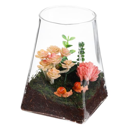 FUNOMOCYA Terrarium Ohne Pflanzenterrarium Für Innenraumdekoration Robuste Glaspflanze Vase Für Moos Und Kunstpflanzen Für Gartenliebhaber von FUNOMOCYA