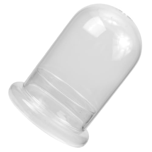 FUNOMOCYA Transparente Mikrolandschaft Glasflasche mit Öffnung DIY Ökologisches Moos Terrarium Dekorative Pflanzenvase für Innenraum Kreativer Flaschengarten Halter von FUNOMOCYA