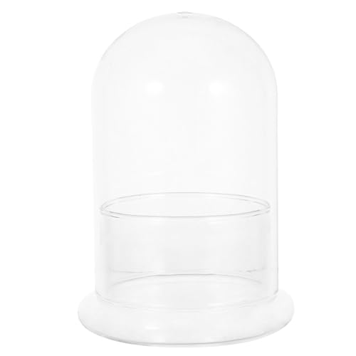 FUNOMOCYA Transparentes Glas-Terrarium Ø DIY Mini-Landschaft Hydroponische Pflanzenvase Glasglocke für Moos Sukkulenten Kleine Zimmerpflanzen für Schreibtisch Enge Räume FUNOMOCYA Transparentes Glas-Terrarium Ø DIY Mini-Landschaft Hydroponische Pflanzenvase Glasglocke für Moos Sukkulenten Kleine Zimmerpflanzen für Schreibtisch Enge Räume von FUNOMOCYA