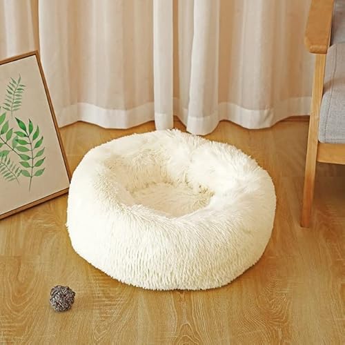 FUNZE 1Pcs Donut Hundeschlafsofa Waschbar Haustierbett Matten Plüsch Haustierbett Haus für Kleine Große Hunde Katzen Runde Matte Warmes Schlafnetz Heimtierbedarf FUNZE 1Pcs Donut Hundeschlafsofa Waschbar Haustierbett Matten Plüsch Haustierbett Haus für Kleine Große Hunde Katzen Runde Matte Warmes Schlafnetz Heimtierbedarf von FUNZE