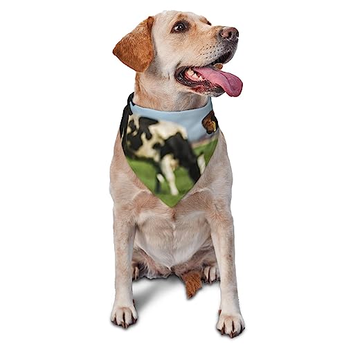 Dairy Cattle Dog Bandana Cute Soft Washable Dog Scarf Summer Adjustable Cat Kerchief Bibs Pet Triangular Taschentuch von FURLOU