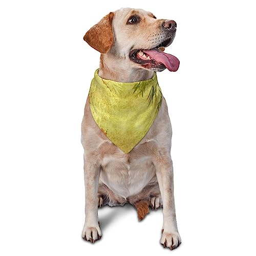 Gartenpflanzen Hund Bandana Niedlich Weich Waschbar Hund Schal Sommer Verstellbare Katze Halstuch Lätzchen Haustier Dreieckstuch von FURLOU